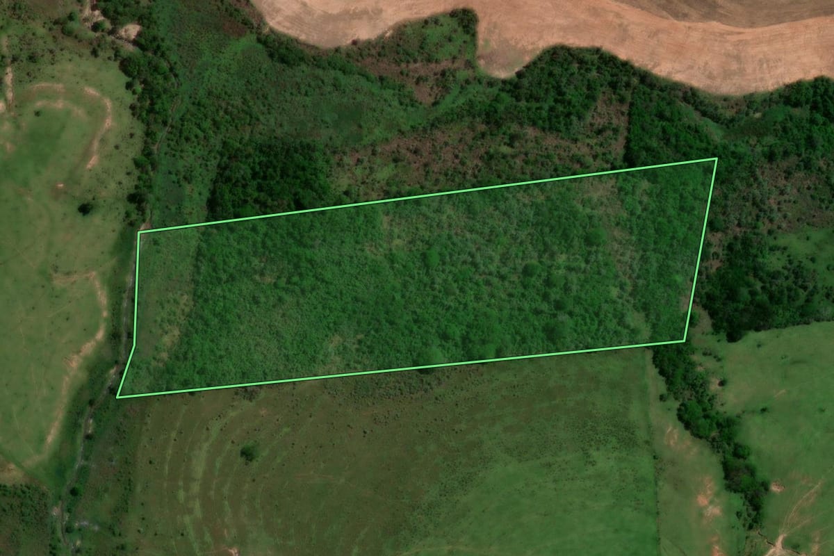 Imagem de satélite do imóvel rural em Pirapozinho (SP), com o contorno declarado no CAR desenhado por cima.