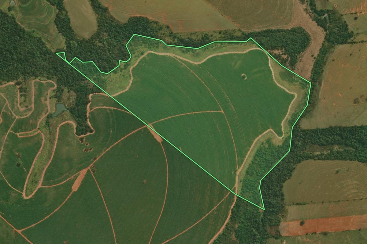 Imagem de satélite do imóvel rural em Pirapozinho (SP), com o contorno declarado no CAR desenhado por cima.