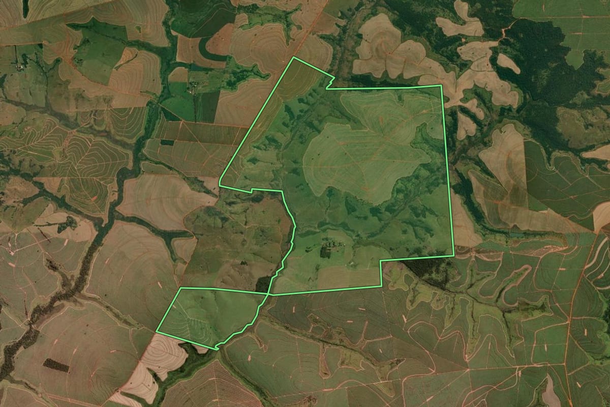 Imagem de satélite do imóvel rural em Pirapozinho (SP), com o contorno declarado no CAR desenhado por cima.