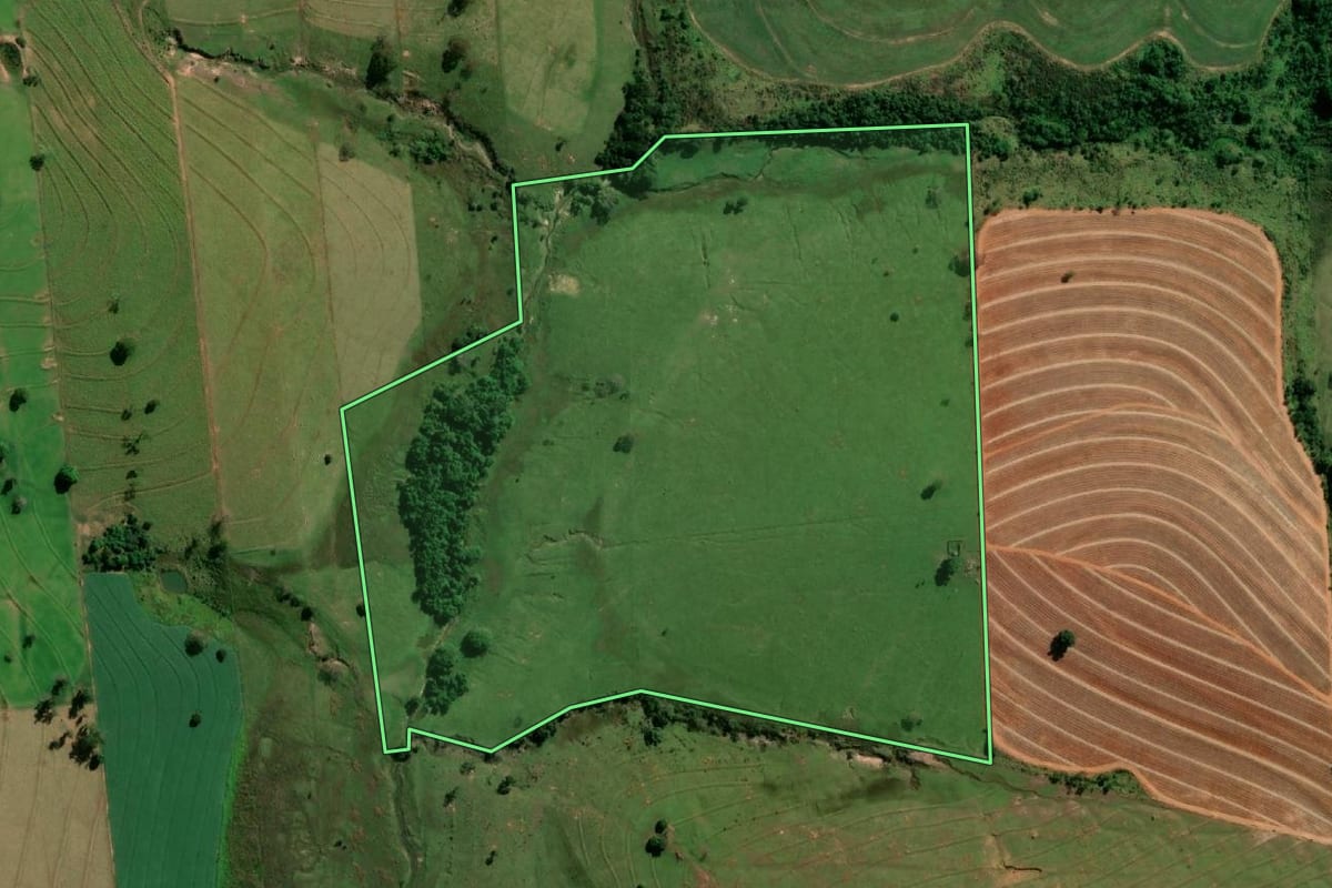 Imagem de satélite do imóvel rural em Pirapozinho (SP), com o contorno declarado no CAR desenhado por cima.
