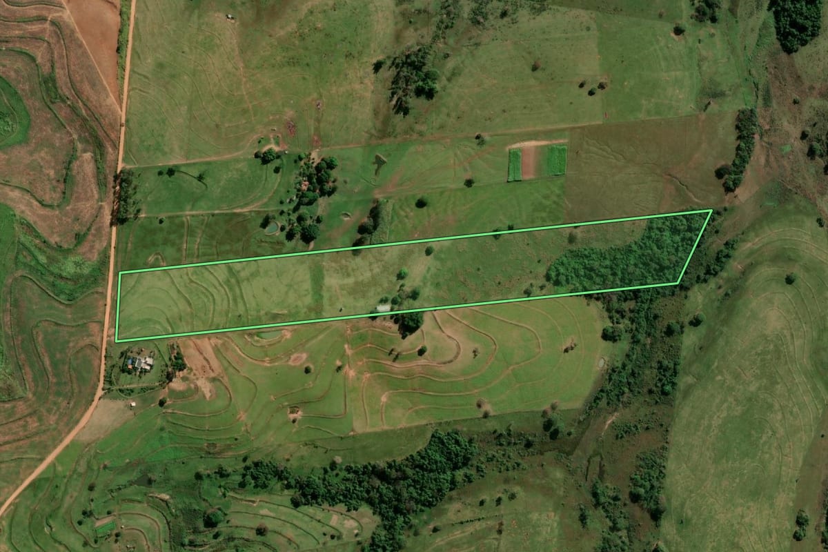 Imagem de satélite do imóvel rural em Pirapozinho (SP), com o contorno declarado no CAR desenhado por cima.