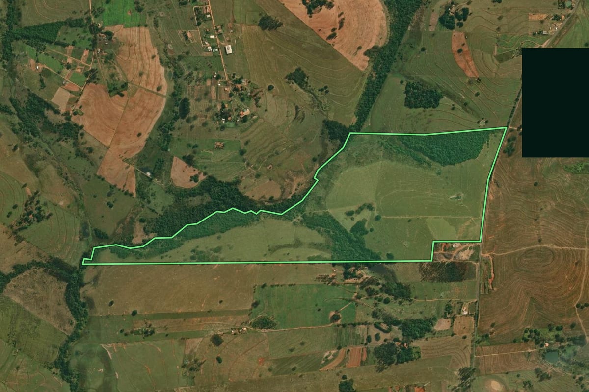 Imagem de satélite do imóvel rural em Pirapozinho (SP), com o contorno declarado no CAR desenhado por cima.