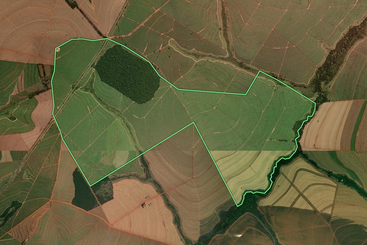 Imagem de satélite do imóvel rural em Pirapozinho (SP), com o contorno declarado no CAR desenhado por cima.