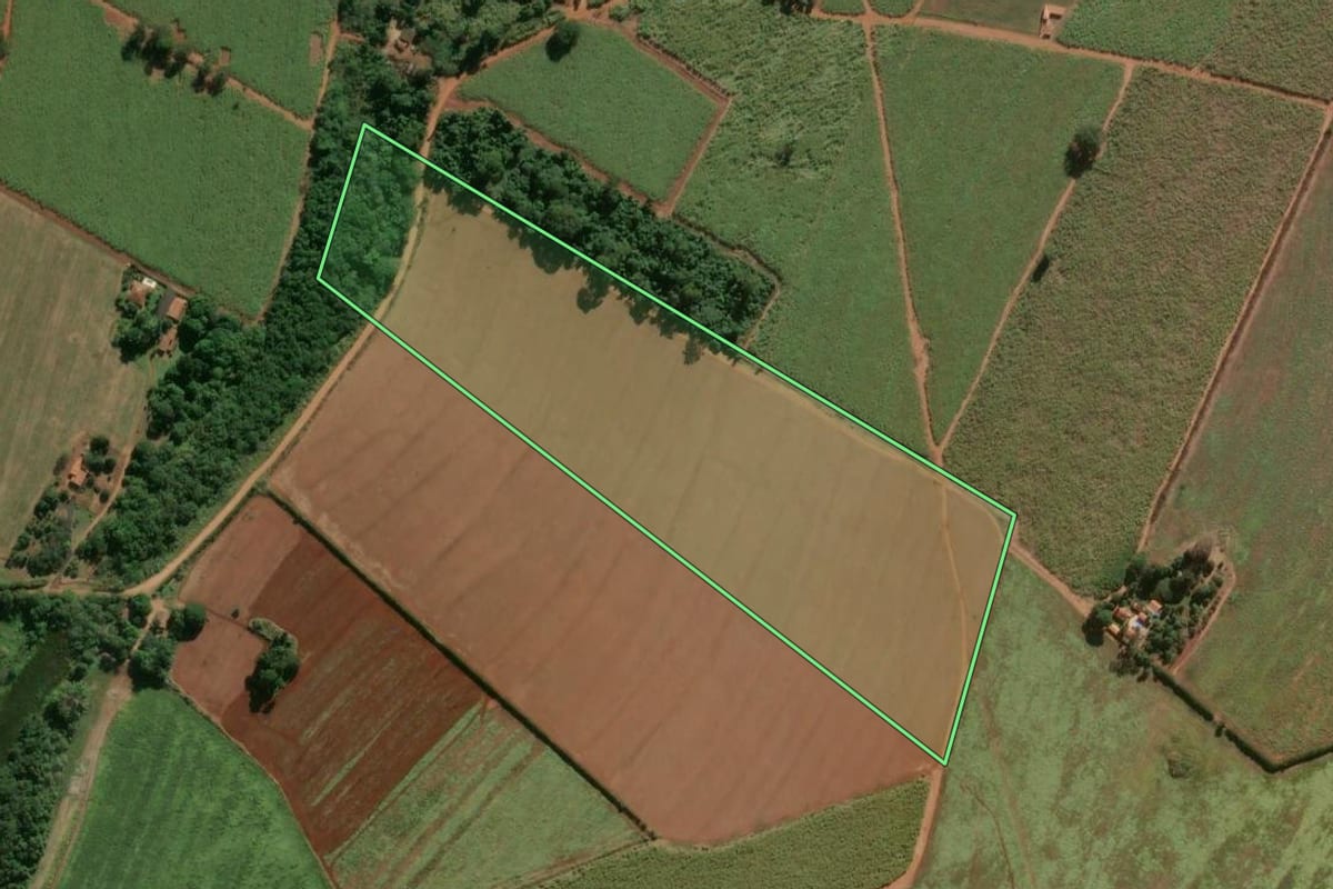 Imagem de satélite do imóvel rural em Pirassununga (SP), com o contorno declarado no CAR desenhado por cima.