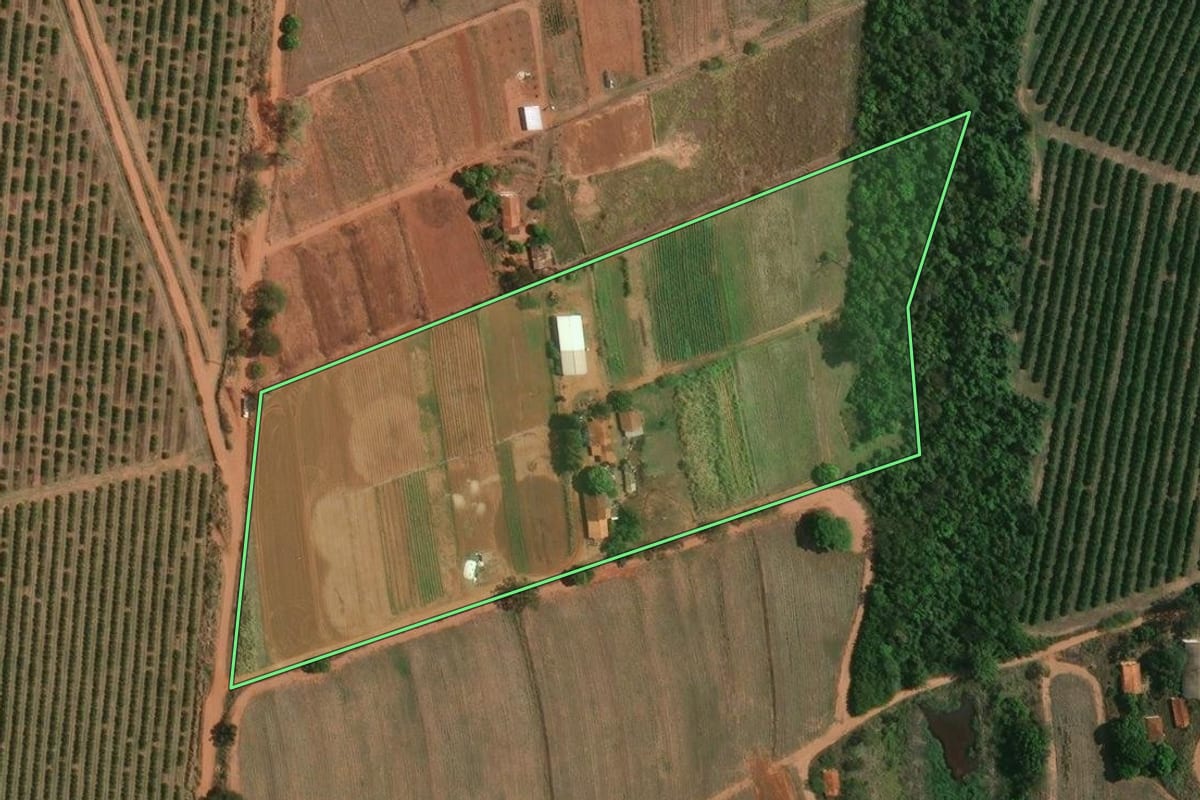 Imagem de satélite do imóvel rural em Pirassununga (SP), com o contorno declarado no CAR desenhado por cima.