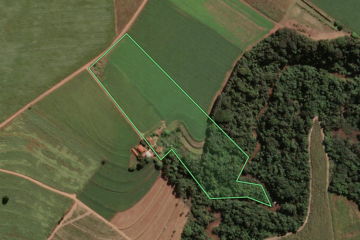 Imagem de satélite do imóvel rural em Pirassununga (SP), com o contorno declarado no CAR desenhado por cima.