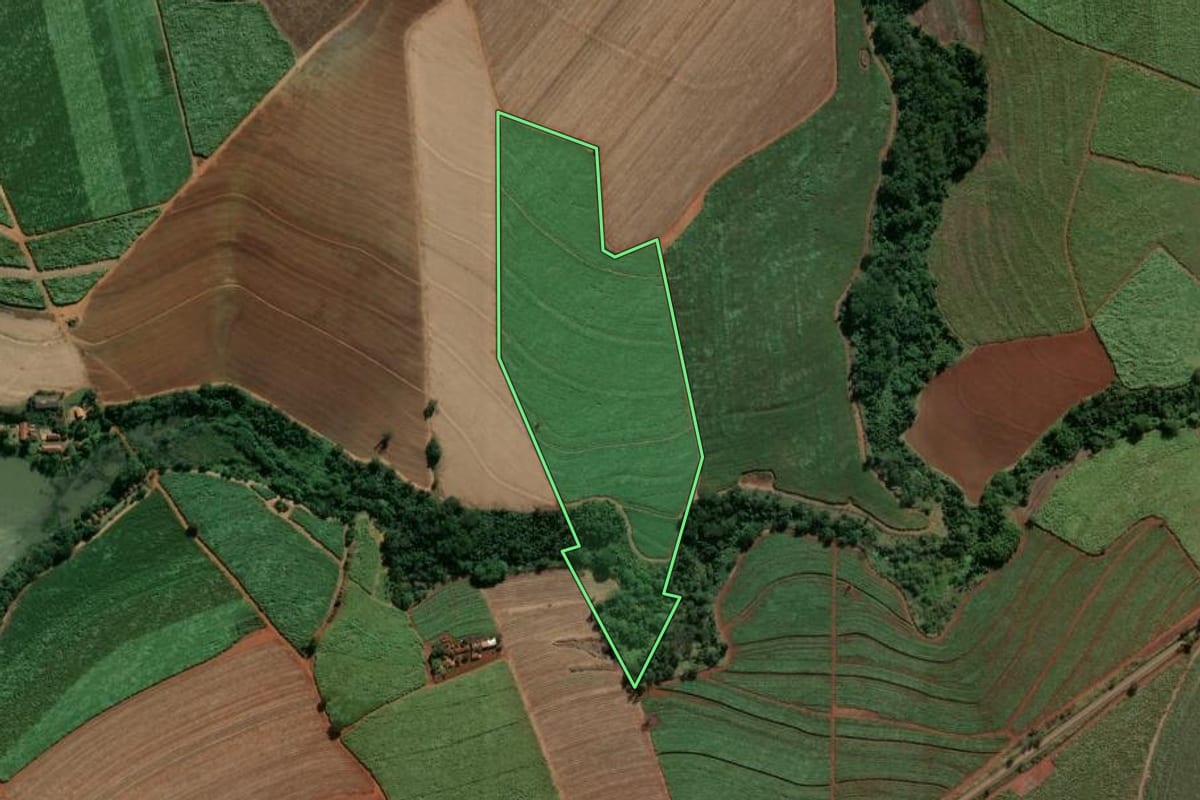 Imagem de satélite do imóvel rural em Pirassununga (SP), com o contorno declarado no CAR desenhado por cima.