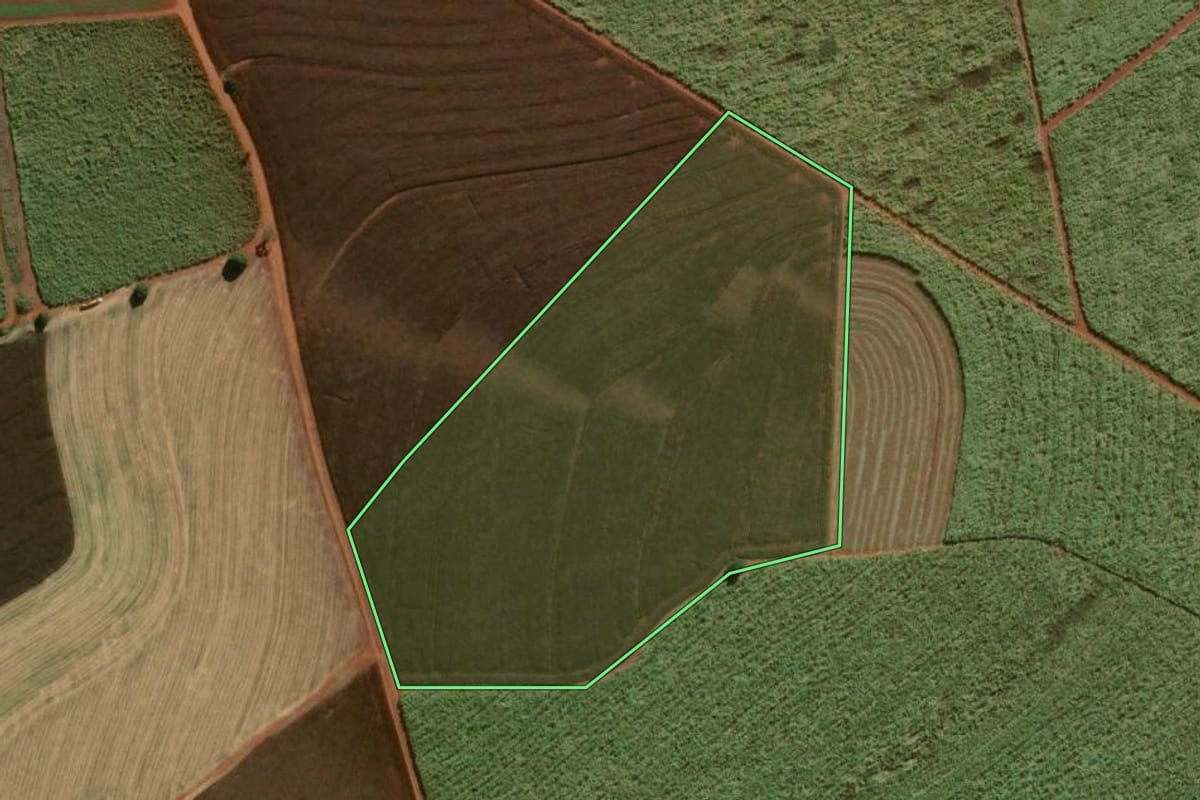 Imagem de satélite do imóvel rural em Pirassununga (SP), com o contorno declarado no CAR desenhado por cima.