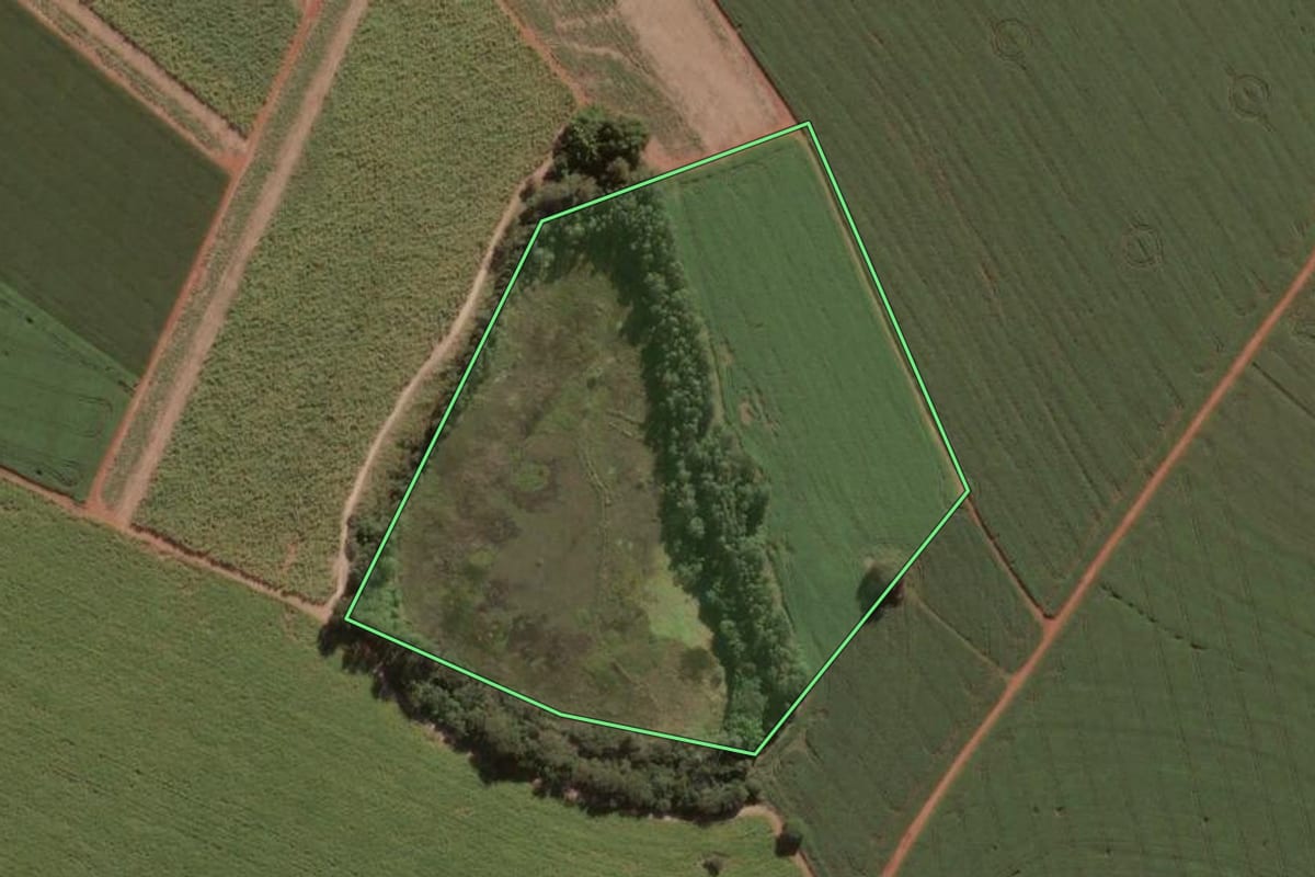 Imagem de satélite do imóvel rural em Pirassununga (SP), com o contorno declarado no CAR desenhado por cima.