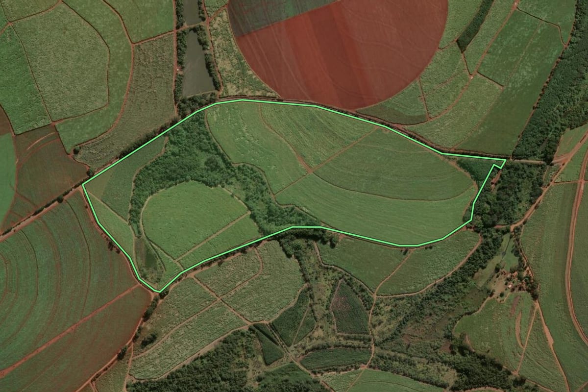 Imagem de satélite do imóvel rural em Pirassununga (SP), com o contorno declarado no CAR desenhado por cima.