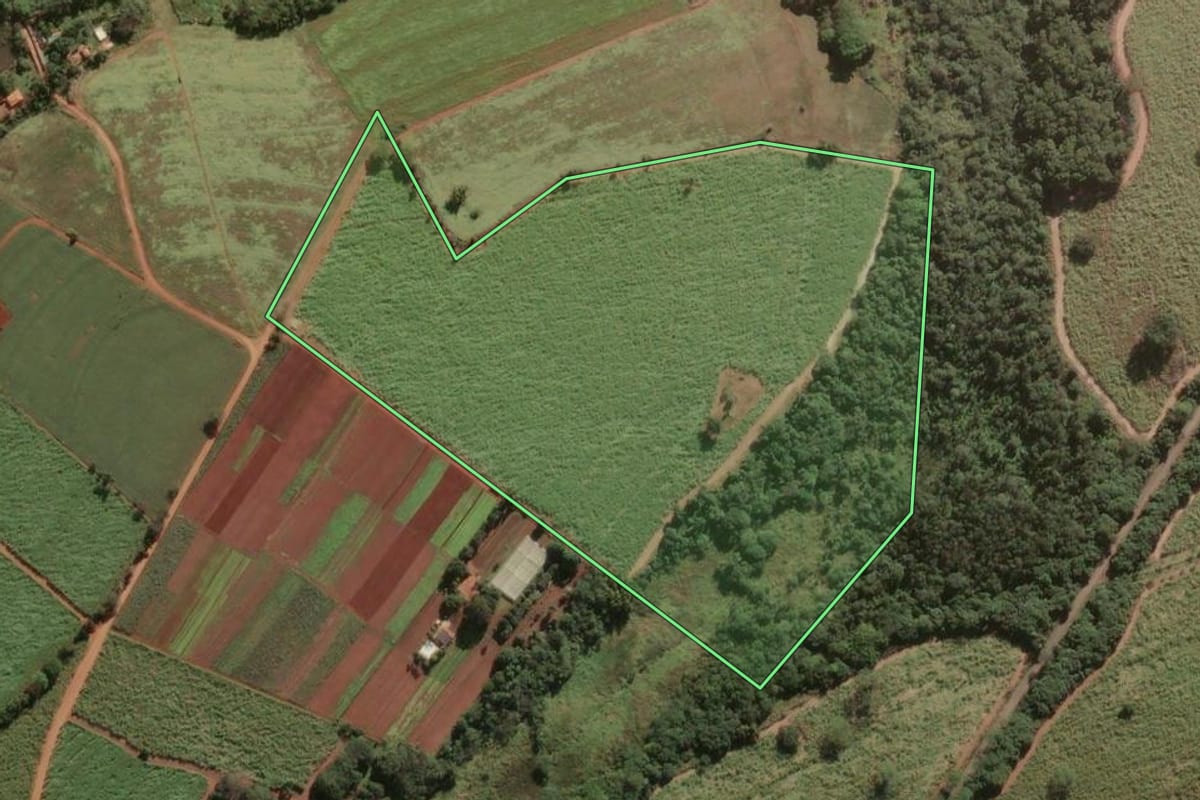 Imagem de satélite do imóvel rural em Pirassununga (SP), com o contorno declarado no CAR desenhado por cima.