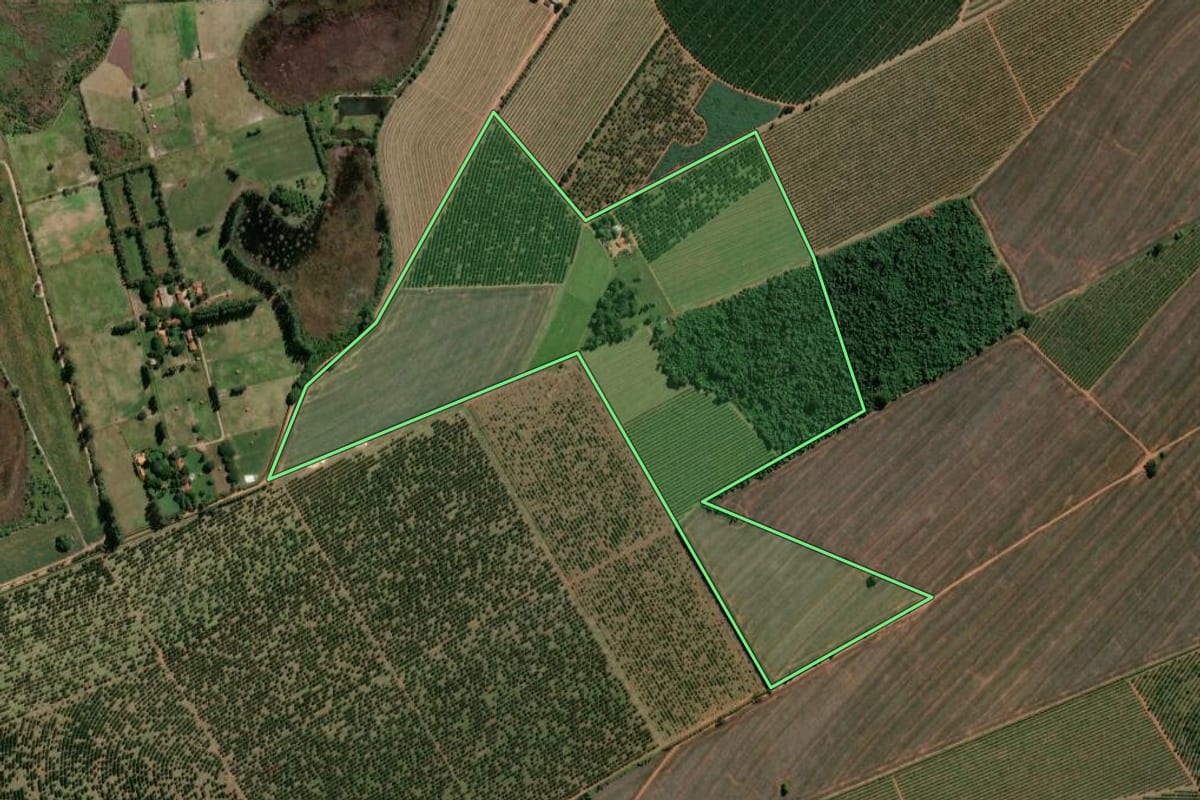 Imagem de satélite do imóvel rural em Pirassununga (SP), com o contorno declarado no CAR desenhado por cima.