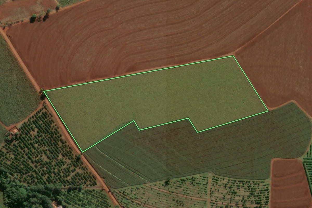 Imagem de satélite do imóvel rural em Pirassununga (SP), com o contorno declarado no CAR desenhado por cima.