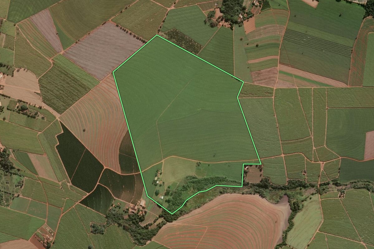 Imagem de satélite do imóvel rural em Pirassununga (SP), com o contorno declarado no CAR desenhado por cima.