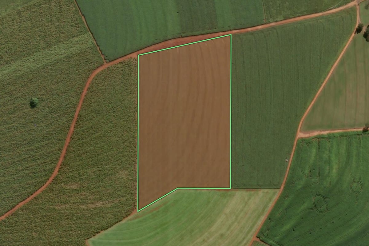 Imagem de satélite do imóvel rural em Pirassununga (SP), com o contorno declarado no CAR desenhado por cima.