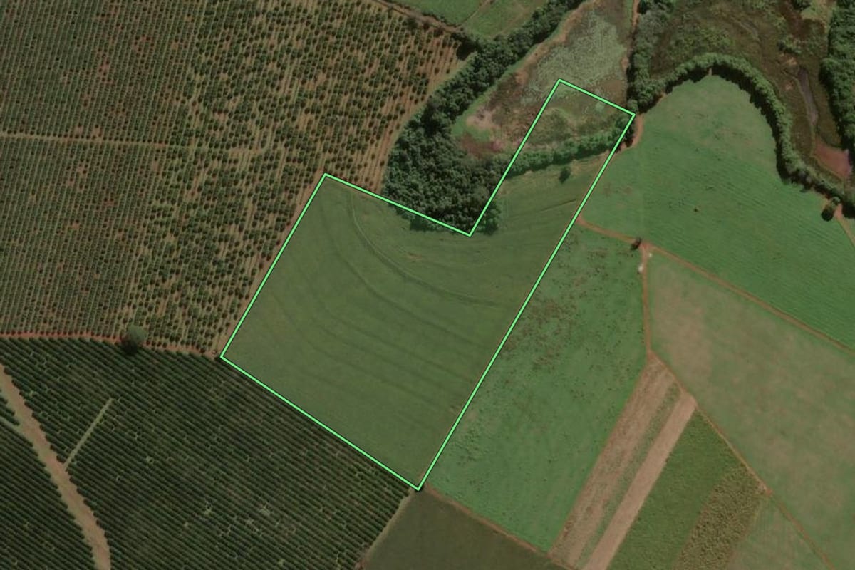 Imagem de satélite do imóvel rural em Pirassununga (SP), com o contorno declarado no CAR desenhado por cima.