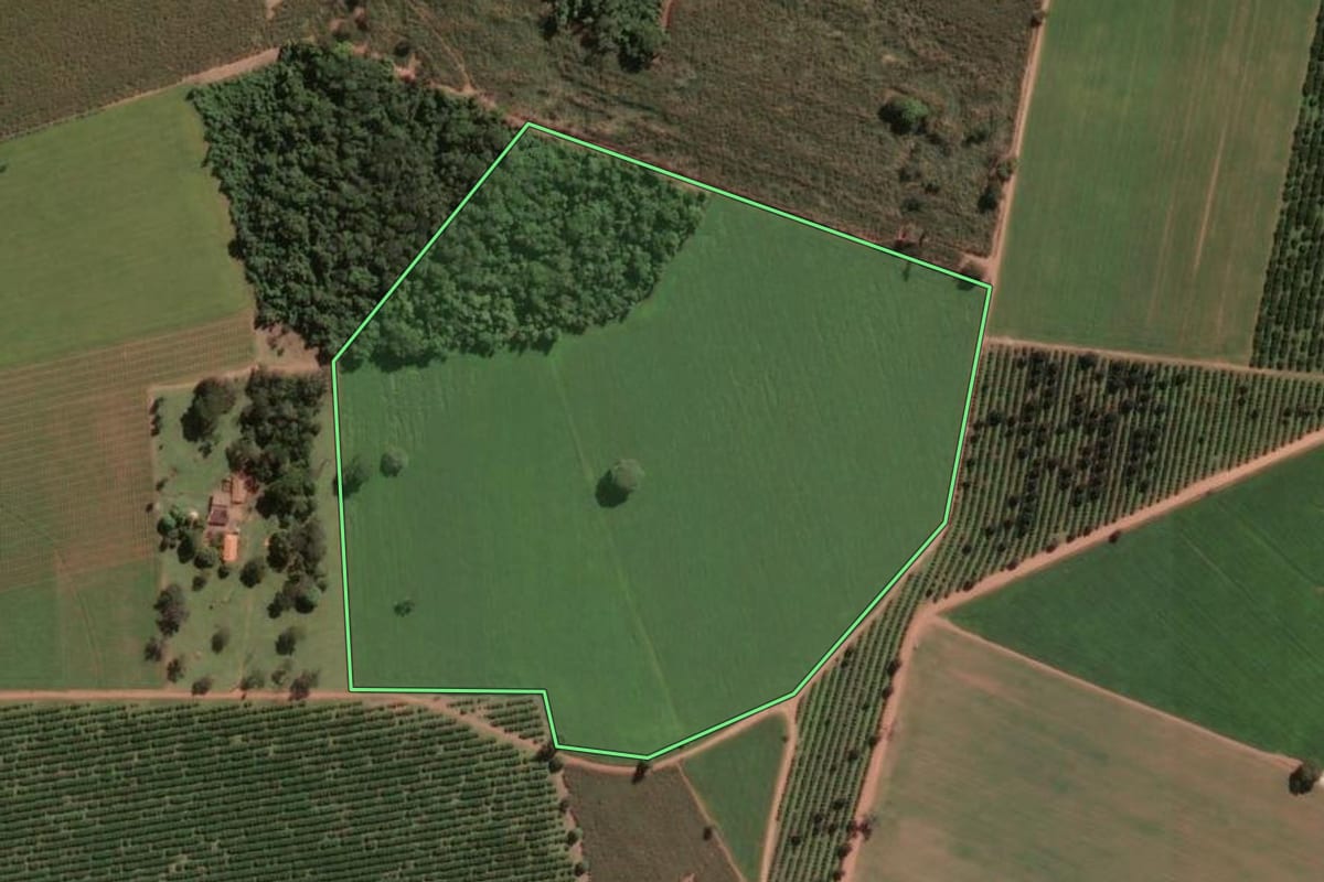 Imagem de satélite do imóvel rural em Pirassununga (SP), com o contorno declarado no CAR desenhado por cima.