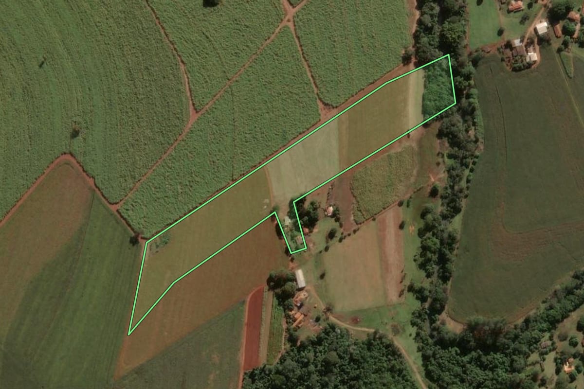 Imagem de satélite do imóvel rural em Pirassununga (SP), com o contorno declarado no CAR desenhado por cima.