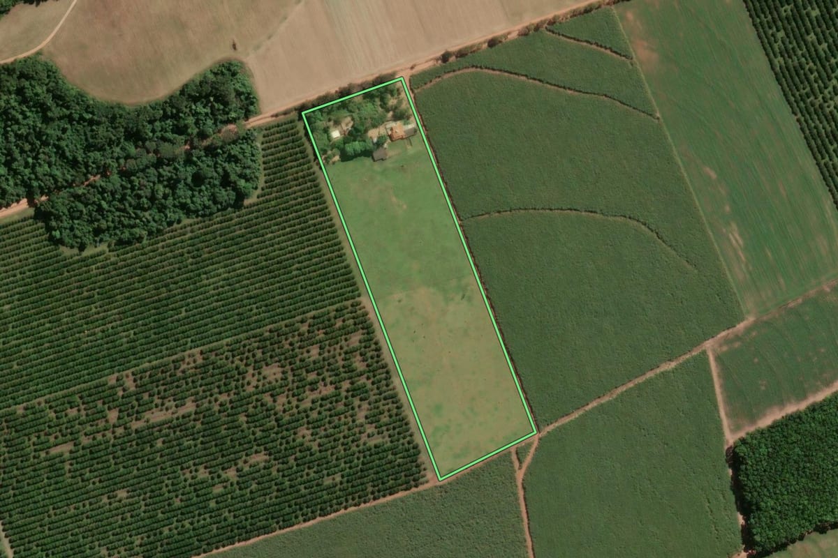 Imagem de satélite do imóvel rural em Pirassununga (SP), com o contorno declarado no CAR desenhado por cima.