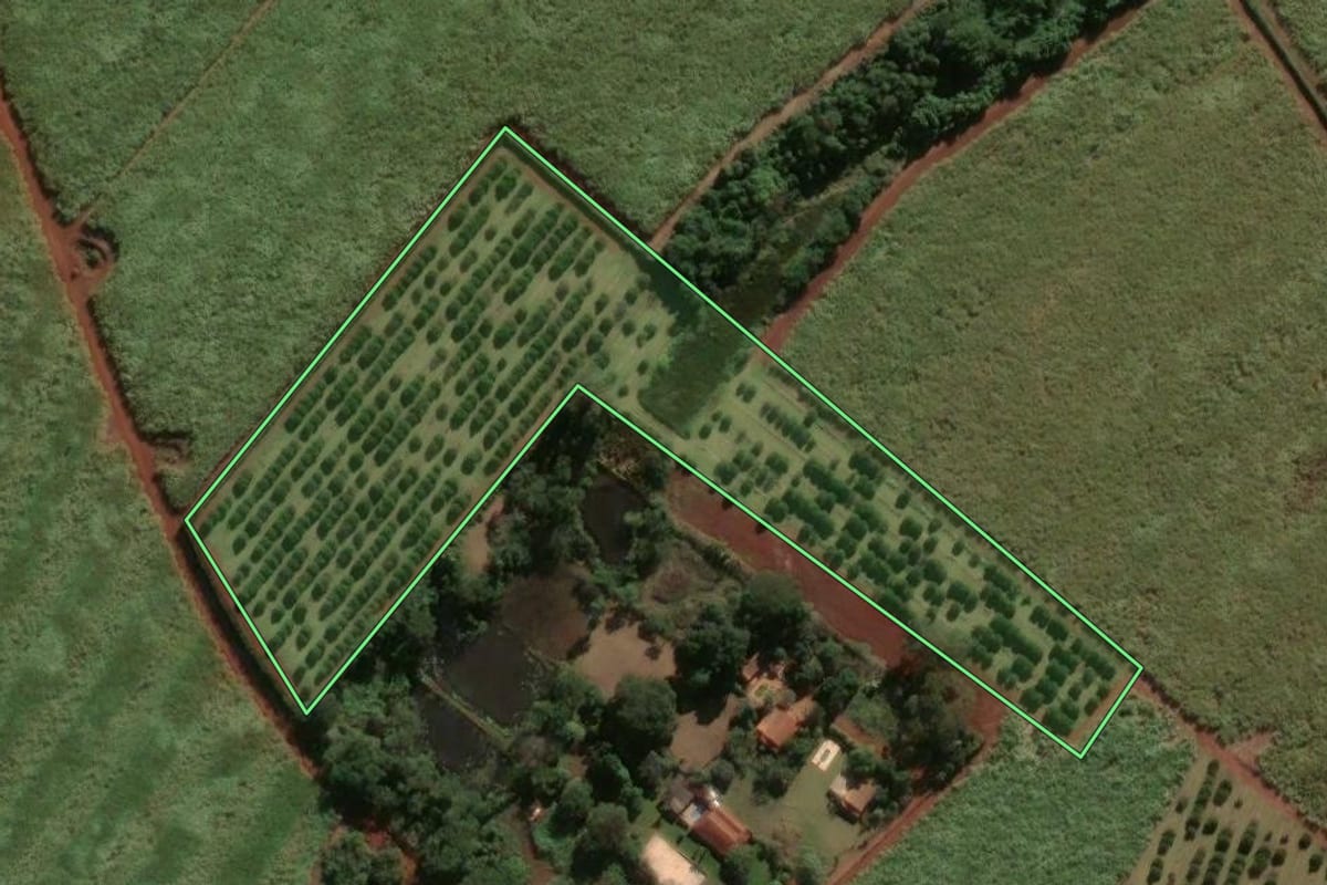 Imagem de satélite do imóvel rural em Pirassununga (SP), com o contorno declarado no CAR desenhado por cima.