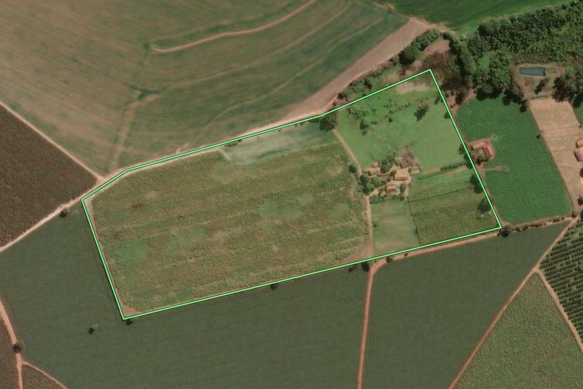 Imagem de satélite do imóvel rural em Pirassununga (SP), com o contorno declarado no CAR desenhado por cima.