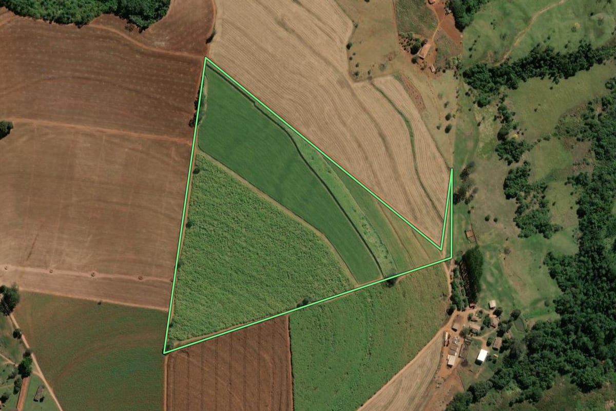 Imagem de satélite do imóvel rural em Pirassununga (SP), com o contorno declarado no CAR desenhado por cima.