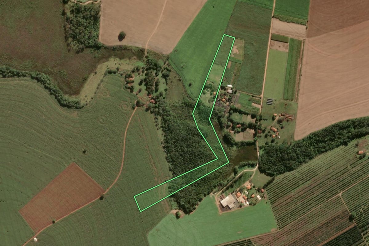 Imagem de satélite do imóvel rural em Pirassununga (SP), com o contorno declarado no CAR desenhado por cima.