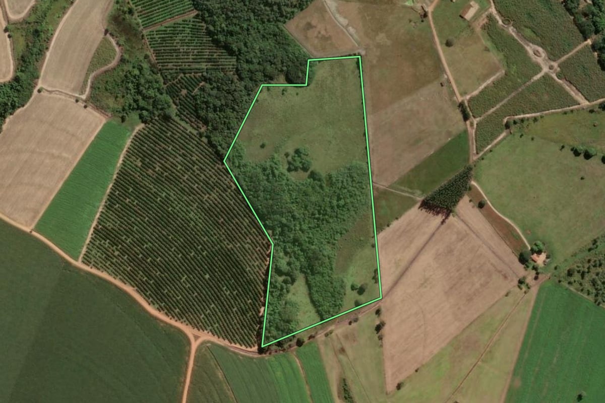 Imagem de satélite do imóvel rural em Pirassununga (SP), com o contorno declarado no CAR desenhado por cima.