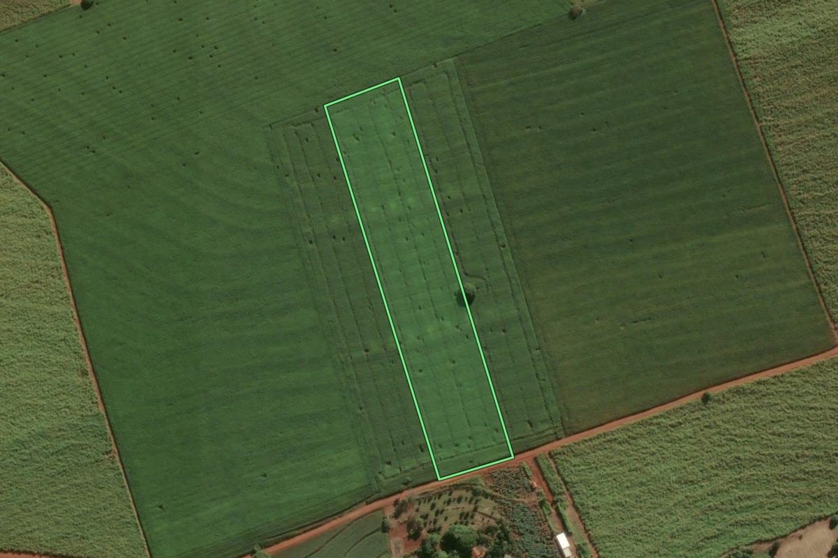 Imagem de satélite do imóvel rural em Pirassununga (SP), com o contorno declarado no CAR desenhado por cima.