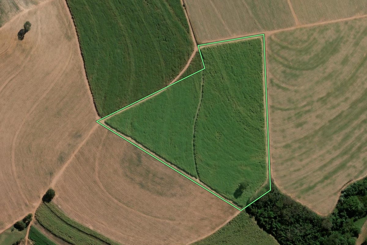 Imagem de satélite do imóvel rural em Pirassununga (SP), com o contorno declarado no CAR desenhado por cima.