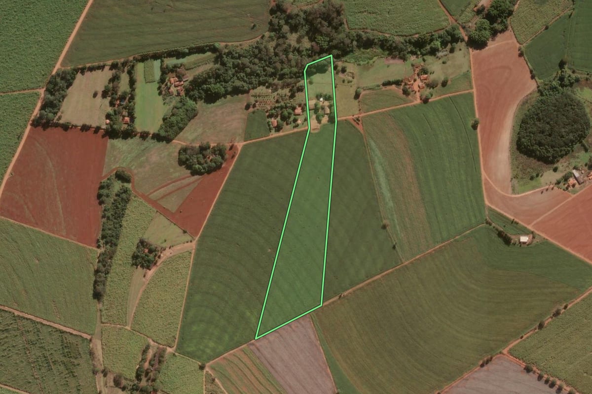 Imagem de satélite do imóvel rural em Pirassununga (SP), com o contorno declarado no CAR desenhado por cima.