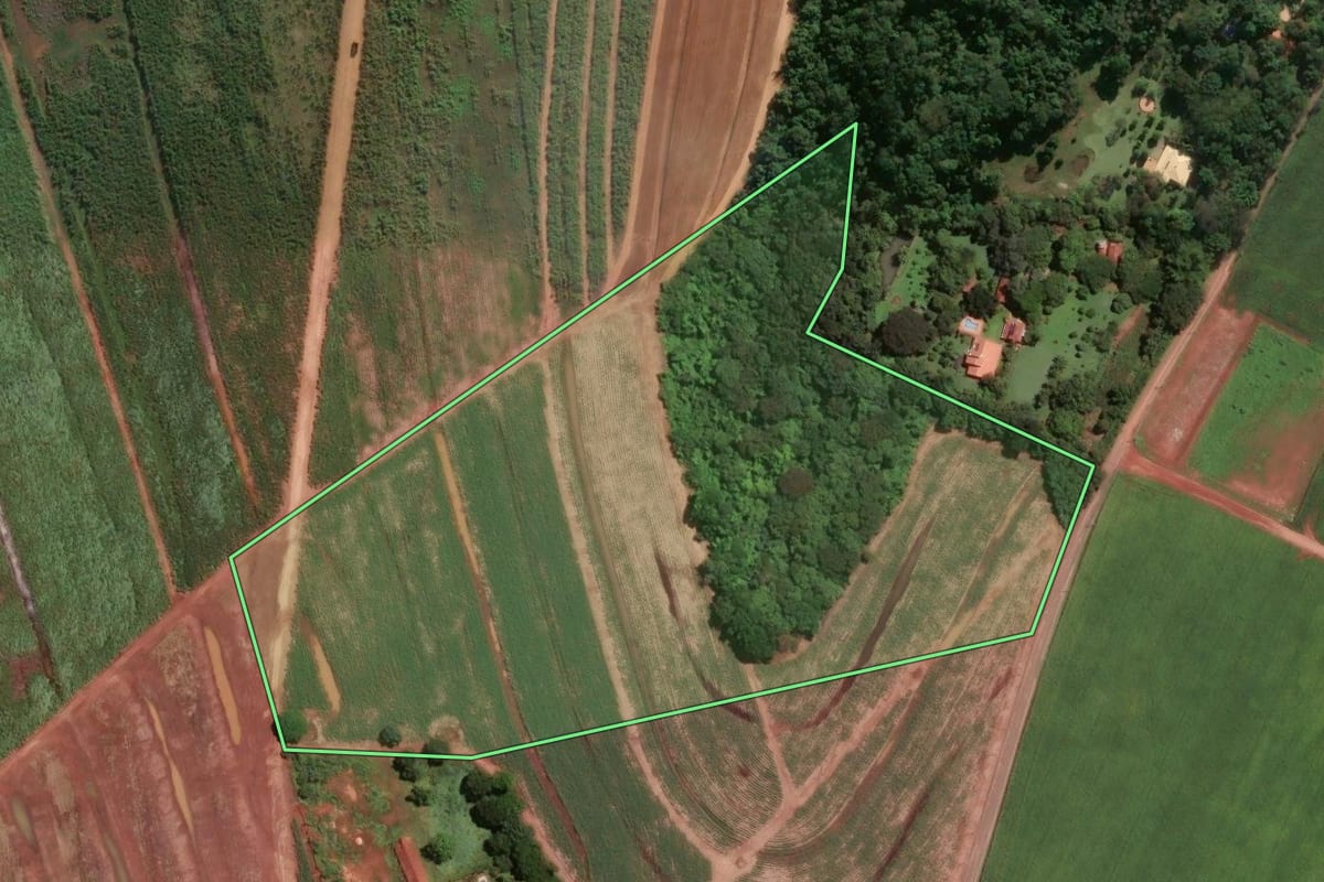 Imagem de satélite do imóvel rural em Pirassununga (SP), com o contorno declarado no CAR desenhado por cima.