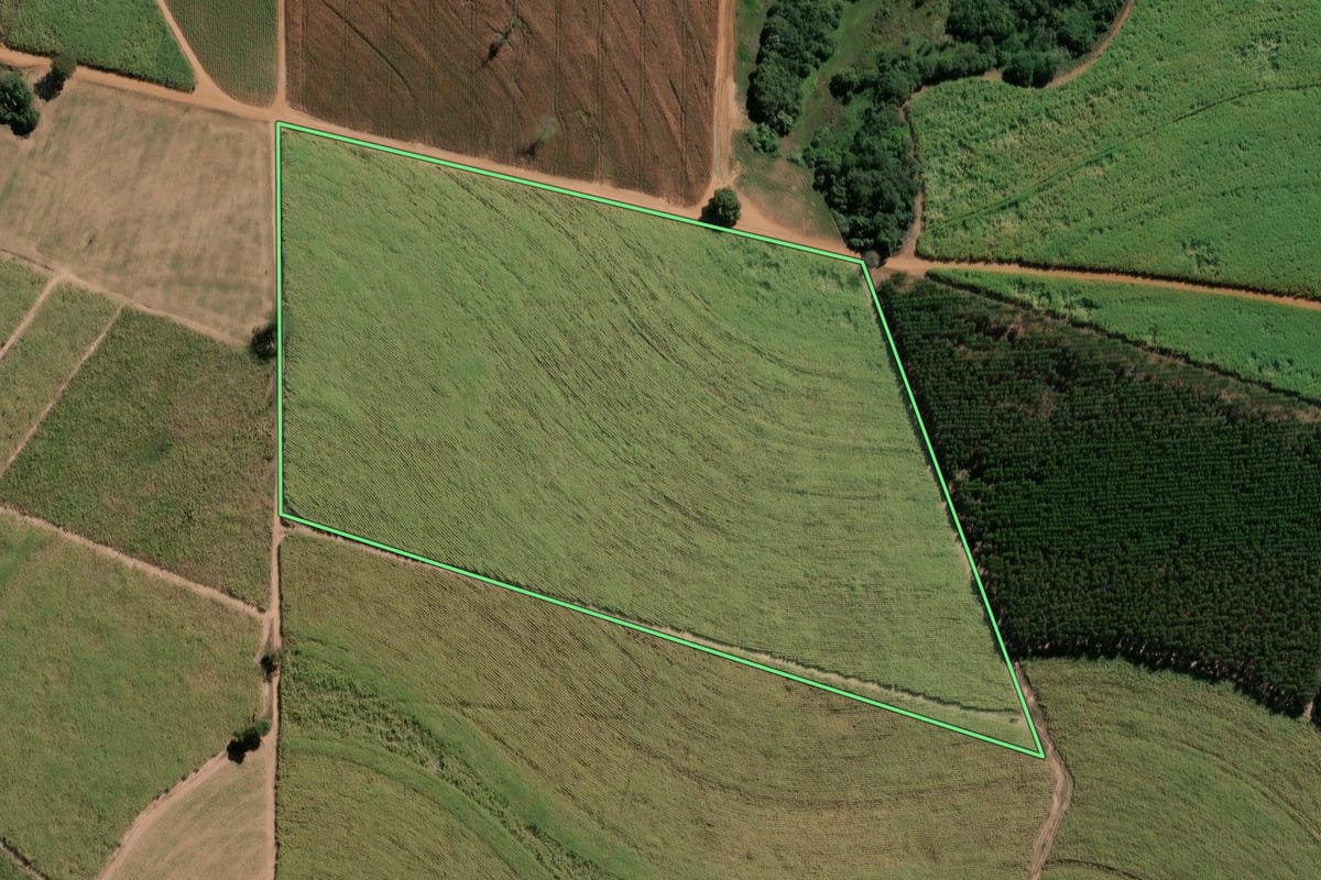 Imagem de satélite do imóvel rural em Pirassununga (SP), com o contorno declarado no CAR desenhado por cima.