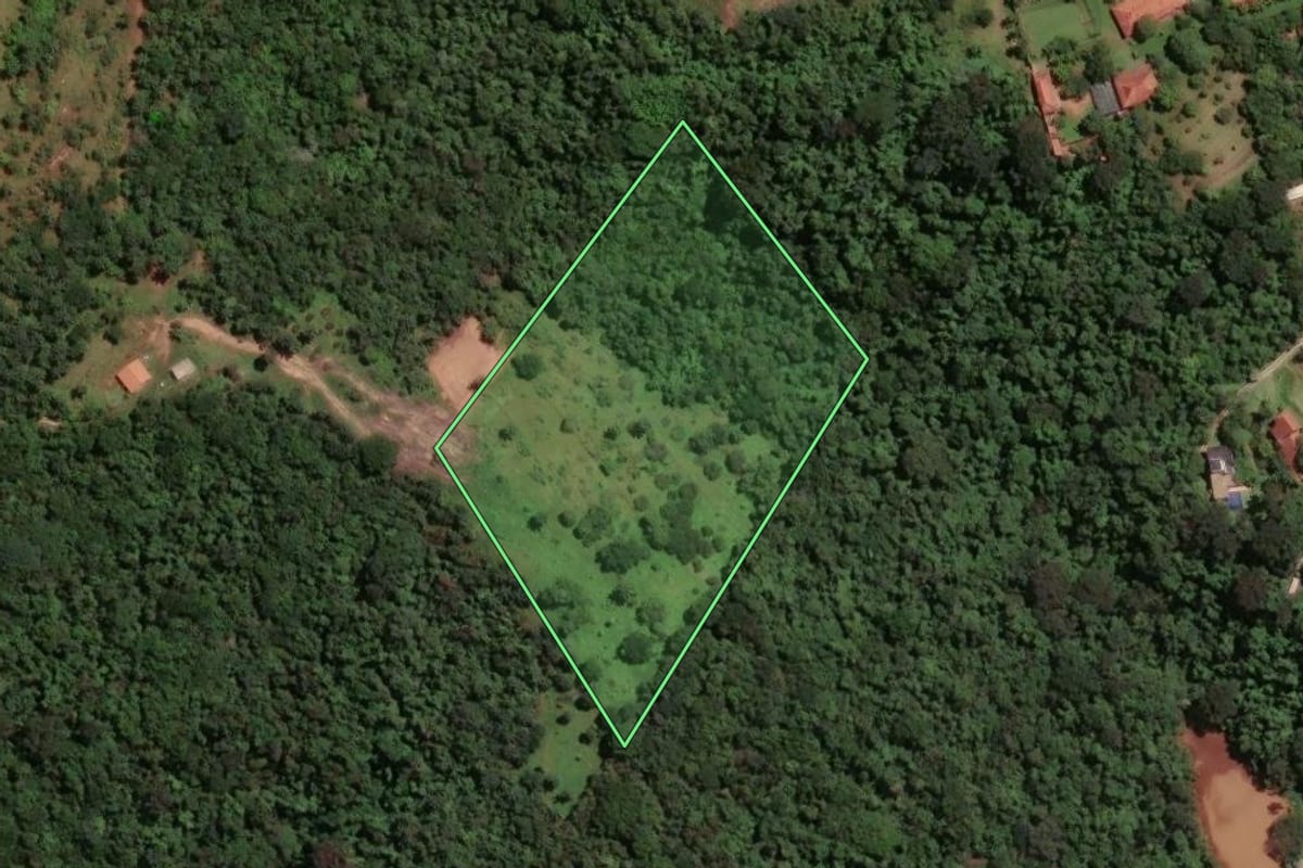 Imagem de satélite do imóvel rural em Pirassununga (SP), com o contorno declarado no CAR desenhado por cima.
