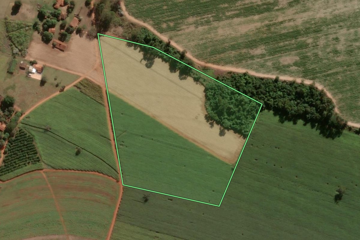Imagem de satélite do imóvel rural em Pirassununga (SP), com o contorno declarado no CAR desenhado por cima.