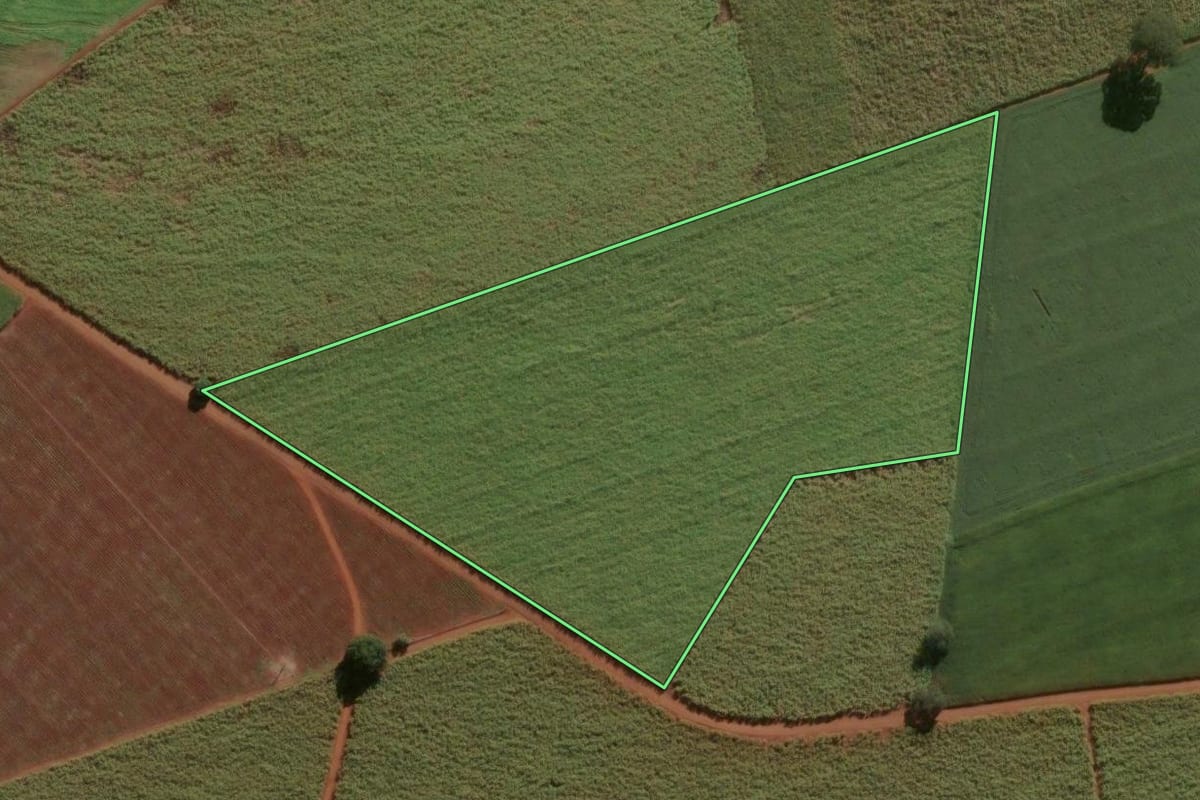 Imagem de satélite do imóvel rural em Pirassununga (SP), com o contorno declarado no CAR desenhado por cima.