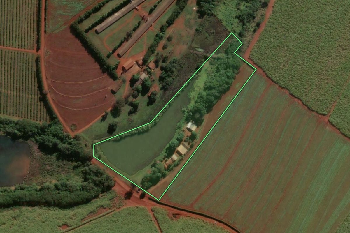 Imagem de satélite do imóvel rural em Pirassununga (SP), com o contorno declarado no CAR desenhado por cima.