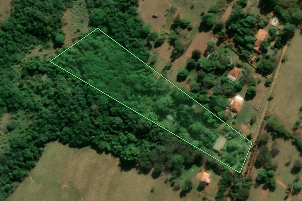 Imagem de satélite do imóvel rural em Piratininga (SP), com o contorno declarado no CAR desenhado por cima.