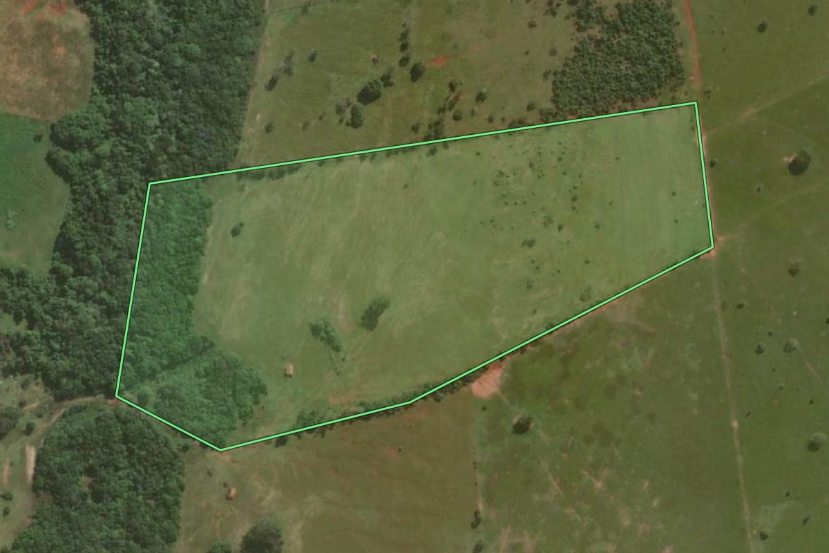 Imagem de satélite do imóvel rural em Piratininga (SP), com o contorno declarado no CAR desenhado por cima.