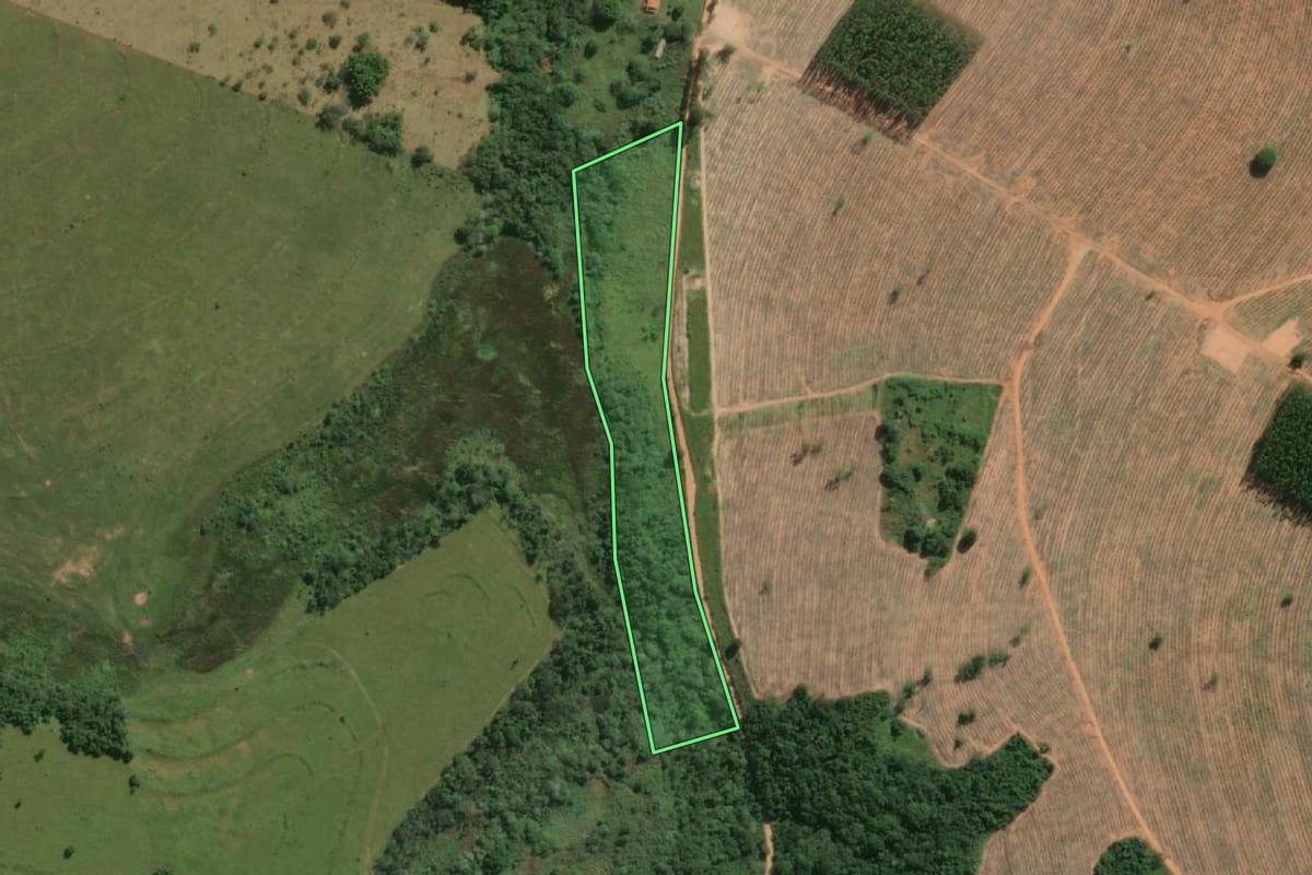 Imagem de satélite do imóvel rural em Piratininga (SP), com o contorno declarado no CAR desenhado por cima.