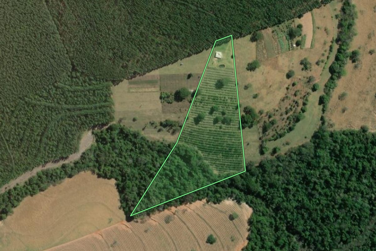 Imagem de satélite do imóvel rural em Piratininga (SP), com o contorno declarado no CAR desenhado por cima.