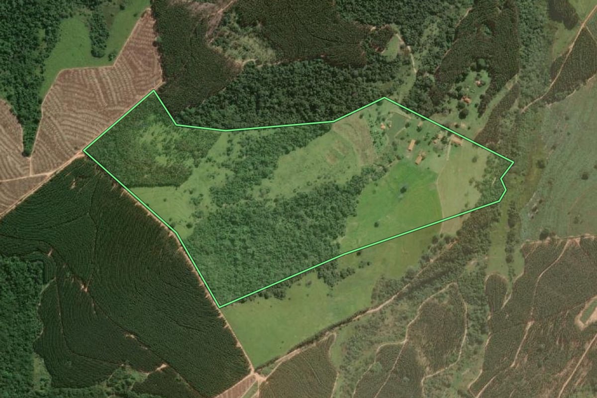 Imagem de satélite do imóvel rural em Piratininga (SP), com o contorno declarado no CAR desenhado por cima.