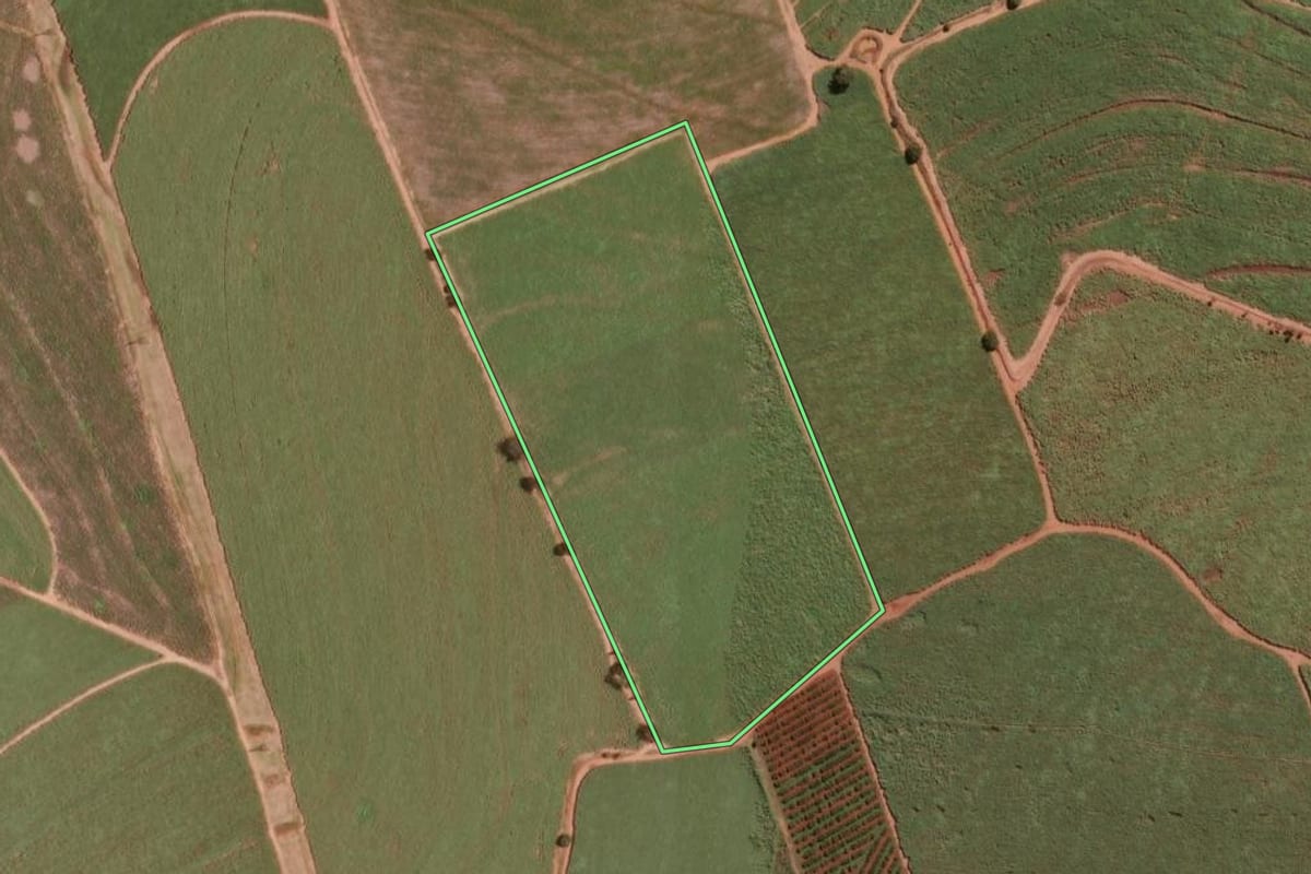 Imagem de satélite do imóvel rural em Pitangueiras (SP), com o contorno declarado no CAR desenhado por cima.