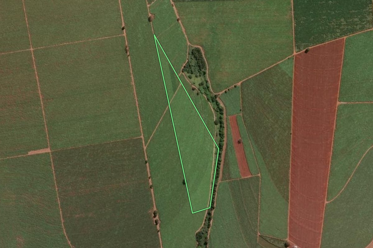 Imagem de satélite do imóvel rural em Pitangueiras (SP), com o contorno declarado no CAR desenhado por cima.