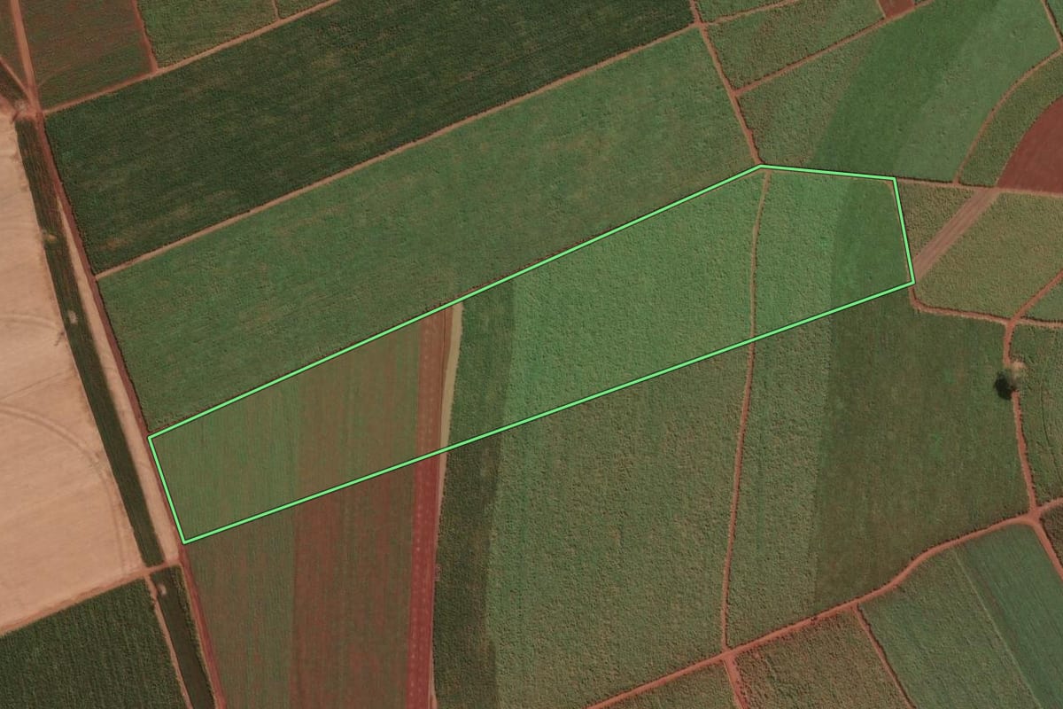 Imagem de satélite do imóvel rural em Pitangueiras (SP), com o contorno declarado no CAR desenhado por cima.