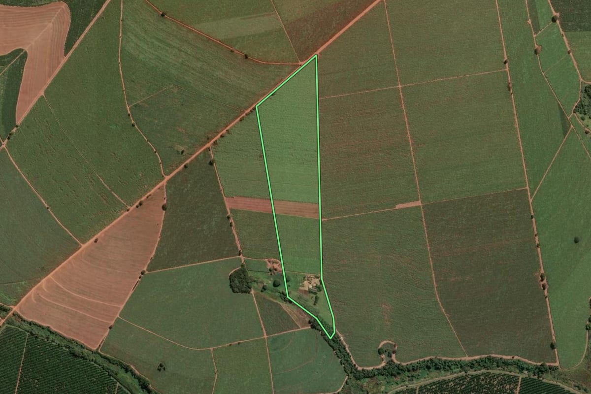 Imagem de satélite do imóvel rural em Pitangueiras (SP), com o contorno declarado no CAR desenhado por cima.