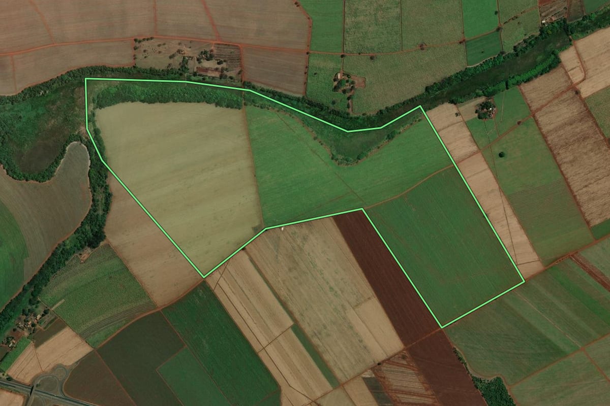 Imagem de satélite do imóvel rural em Pitangueiras (SP), com o contorno declarado no CAR desenhado por cima.