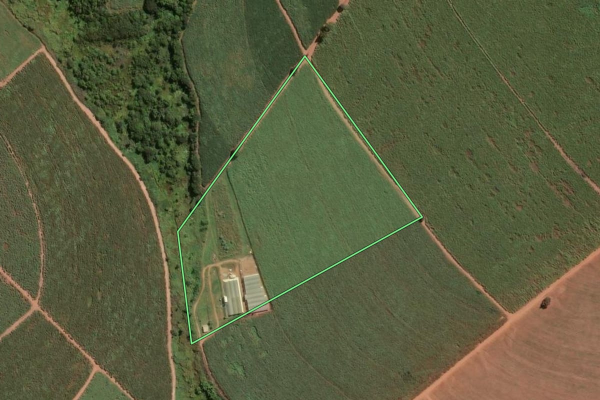 Imagem de satélite do imóvel rural em Pitangueiras (SP), com o contorno declarado no CAR desenhado por cima.