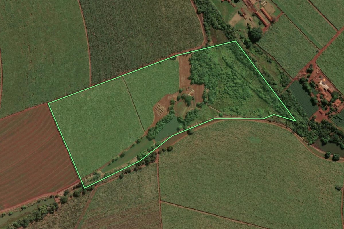 Imagem de satélite do imóvel rural em Pitangueiras (SP), com o contorno declarado no CAR desenhado por cima.