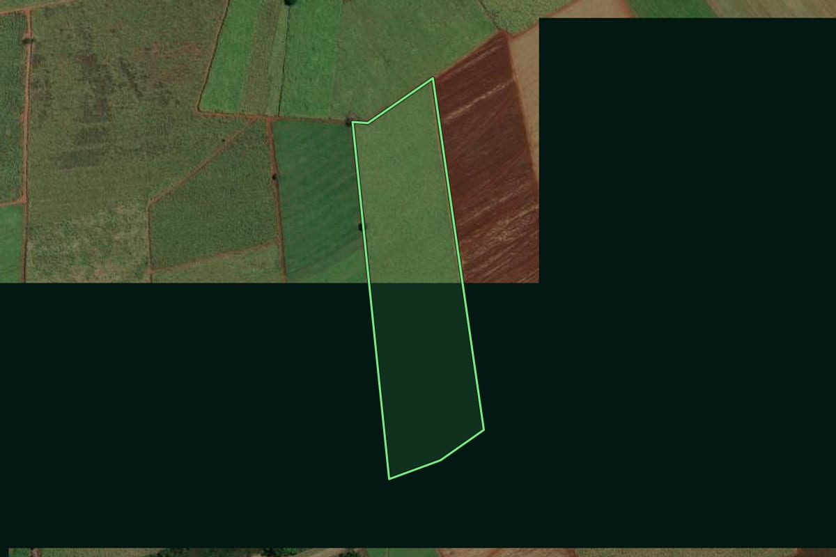 Imagem de satélite do imóvel rural em Pitangueiras (SP), com o contorno declarado no CAR desenhado por cima.